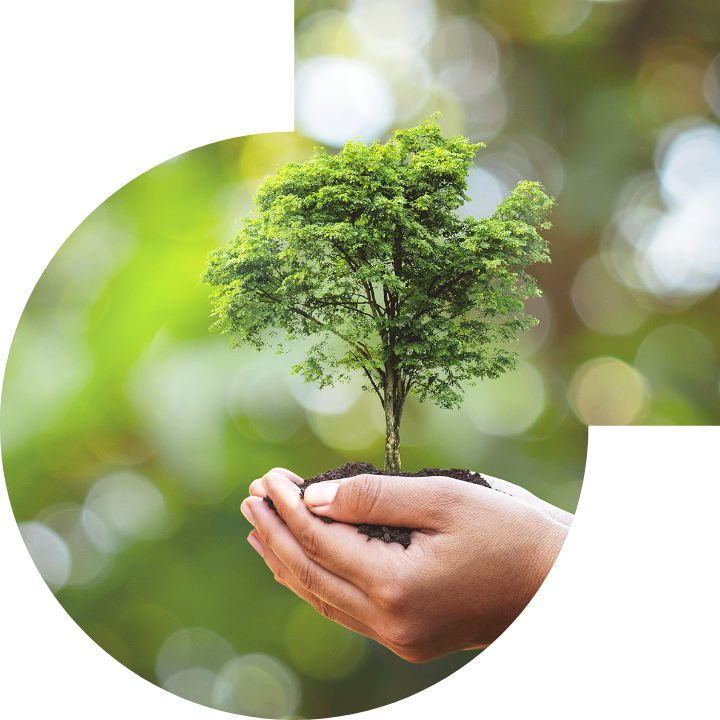 關懷人類、文化、環境與社會